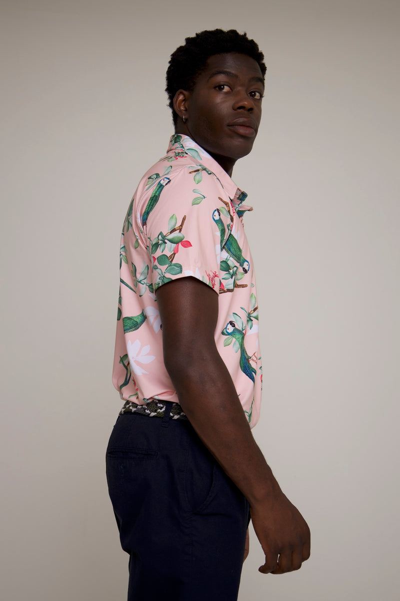 Royal Parrot Polo - Full Print