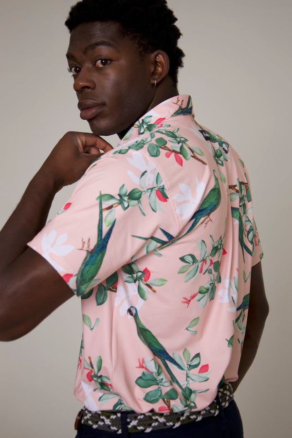 Royal Parrot Polo - Full Print